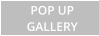 POP UP GALLERY