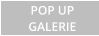 POP UP GALERIE